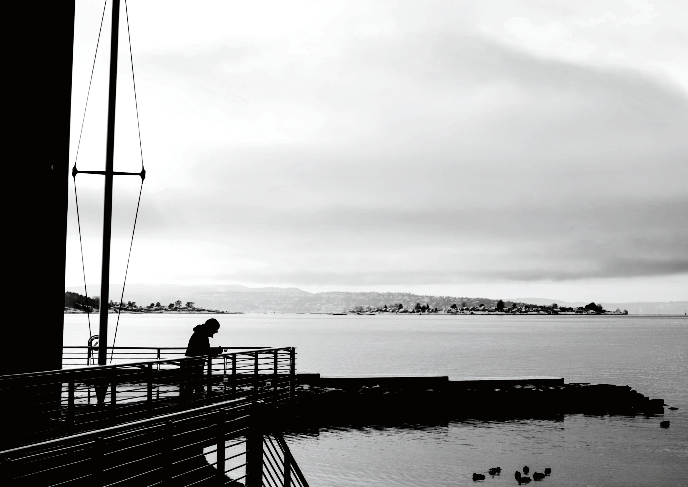 Norwegian coastal waters seen from the quay