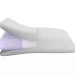 PILLOW EXP BEAUTY YOUNG